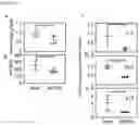 Fig. 11 - METHOD FOR REMOVING SENESCENT CELL, AND METHOD FOR PREPARING SENESCENT CELL