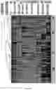 Fig. 07 - FABRICATION TECHNIQUE FOR CARDIOMYOCYTE CLUSTER WITH IMPROVED VIABILITY IN CRYOPRESERVATION AND HYPOXIC CONDITION