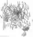 Fig. 14 - FABRICATION TECHNIQUE FOR CARDIOMYOCYTE CLUSTER WITH IMPROVED VIABILITY IN CRYOPRESERVATION AND HYPOXIC CONDITION