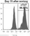 Fig. 19 - FABRICATION TECHNIQUE FOR CARDIOMYOCYTE CLUSTER WITH IMPROVED VIABILITY IN CRYOPRESERVATION AND HYPOXIC CONDITION