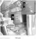 Fig. 30 - FABRICATION TECHNIQUE FOR CARDIOMYOCYTE CLUSTER WITH IMPROVED VIABILITY IN CRYOPRESERVATION AND HYPOXIC CONDITION