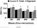 Fig. 31 - FABRICATION TECHNIQUE FOR CARDIOMYOCYTE CLUSTER WITH IMPROVED VIABILITY IN CRYOPRESERVATION AND HYPOXIC CONDITION