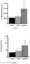 Fig. 42 - FABRICATION TECHNIQUE FOR CARDIOMYOCYTE CLUSTER WITH IMPROVED VIABILITY IN CRYOPRESERVATION AND HYPOXIC CONDITION