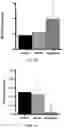 Fig. 45 - FABRICATION TECHNIQUE FOR CARDIOMYOCYTE CLUSTER WITH IMPROVED VIABILITY IN CRYOPRESERVATION AND HYPOXIC CONDITION