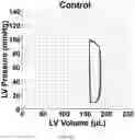 Fig. 46 - FABRICATION TECHNIQUE FOR CARDIOMYOCYTE CLUSTER WITH IMPROVED VIABILITY IN CRYOPRESERVATION AND HYPOXIC CONDITION