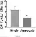 Fig. 52 - FABRICATION TECHNIQUE FOR CARDIOMYOCYTE CLUSTER WITH IMPROVED VIABILITY IN CRYOPRESERVATION AND HYPOXIC CONDITION