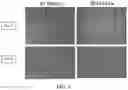 Fig. 05 - METHODS FOR THE MATURATION OF CARDIOMYOCYTES ON AMNIOTIC FLUID CELL-DERIVED ECM, CELLULAR CONSTRUCTS, AND USES FOR CARDIOTOXICITY AND PROARRHYTHMIC SCREENING OF DRUG COMPOUNDS