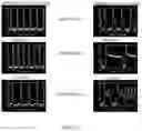 Fig. 24 - METHODS FOR THE MATURATION OF CARDIOMYOCYTES ON AMNIOTIC FLUID CELL-DERIVED ECM, CELLULAR CONSTRUCTS, AND USES FOR CARDIOTOXICITY AND PROARRHYTHMIC SCREENING OF DRUG COMPOUNDS