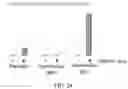 Fig. 25 - METHODS FOR THE MATURATION OF CARDIOMYOCYTES ON AMNIOTIC FLUID CELL-DERIVED ECM, CELLULAR CONSTRUCTS, AND USES FOR CARDIOTOXICITY AND PROARRHYTHMIC SCREENING OF DRUG COMPOUNDS