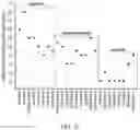 Fig. 27 - METHODS FOR THE MATURATION OF CARDIOMYOCYTES ON AMNIOTIC FLUID CELL-DERIVED ECM, CELLULAR CONSTRUCTS, AND USES FOR CARDIOTOXICITY AND PROARRHYTHMIC SCREENING OF DRUG COMPOUNDS