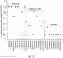 Fig. 28 - METHODS FOR THE MATURATION OF CARDIOMYOCYTES ON AMNIOTIC FLUID CELL-DERIVED ECM, CELLULAR CONSTRUCTS, AND USES FOR CARDIOTOXICITY AND PROARRHYTHMIC SCREENING OF DRUG COMPOUNDS