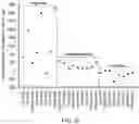 Fig. 29 - METHODS FOR THE MATURATION OF CARDIOMYOCYTES ON AMNIOTIC FLUID CELL-DERIVED ECM, CELLULAR CONSTRUCTS, AND USES FOR CARDIOTOXICITY AND PROARRHYTHMIC SCREENING OF DRUG COMPOUNDS