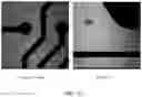 Fig. 40 - METHODS FOR THE MATURATION OF CARDIOMYOCYTES ON AMNIOTIC FLUID CELL-DERIVED ECM, CELLULAR CONSTRUCTS, AND USES FOR CARDIOTOXICITY AND PROARRHYTHMIC SCREENING OF DRUG COMPOUNDS