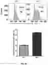 Fig. 08 - Precursor Cells Of Induced Pluripotent Stem Cell (IPSC)-Derived Mesenchymal Stem Cells And Method For Preparing The Same