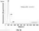 Fig. 18 - Precursor Cells Of Induced Pluripotent Stem Cell (IPSC)-Derived Mesenchymal Stem Cells And Method For Preparing The Same