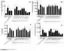 Fig. 04 - METHOD FOR IMPROVING ANGIOGENIC POTENTIAL OF A MESENCHYMAL STEM CELL