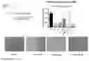 Fig. 07 - METHOD FOR IMPROVING ANGIOGENIC POTENTIAL OF A MESENCHYMAL STEM CELL