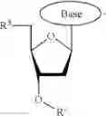 Fig. 09 - Modified pyrococcus polymerases and uses thereof