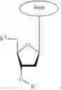 Fig. 145 - Modified pyrococcus polymerases and uses thereof