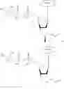 Fig. 148 - Modified pyrococcus polymerases and uses thereof