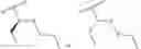 Fig. 16 - Modified pyrococcus polymerases and uses thereof