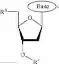 Fig. 33 - Modified pyrococcus polymerases and uses thereof