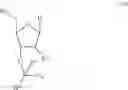 Fig. 50 - Modified pyrococcus polymerases and uses thereof