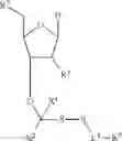 Fig. 56 - Modified pyrococcus polymerases and uses thereof