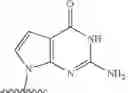 Fig. 61 - Modified pyrococcus polymerases and uses thereof
