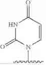 Fig. 62 - Modified pyrococcus polymerases and uses thereof