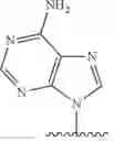 Fig. 64 - Modified pyrococcus polymerases and uses thereof