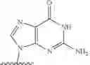 Fig. 65 - Modified pyrococcus polymerases and uses thereof