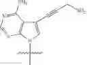 Fig. 68 - Modified pyrococcus polymerases and uses thereof