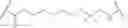 Fig. 78 - Modified pyrococcus polymerases and uses thereof