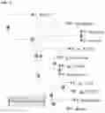 Fig. 06 - Engineered enzymes and uses thereof