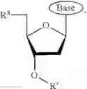 Fig. 28 - Engineered enzymes and uses thereof