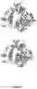 Fig. 05 - Modified terminal deoxynucleotidyl transferase (TdT) enzymes