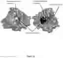 Fig. 07 - Modified terminal deoxynucleotidyl transferase (TdT) enzymes