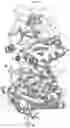 Fig. 06 - ENPP1 Polypeptides and Methods of Using Same