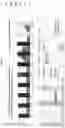 Fig. 15 - ENPP1 Polypeptides and Methods of Using Same