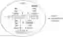 Fig. 01 - GENETICALLY-MODIFIED CELLS COMPRISING A MODIFIED TRANSFERRIN GENE