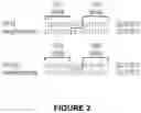 Fig. 04 - GENETICALLY-MODIFIED CELLS COMPRISING A MODIFIED TRANSFERRIN GENE