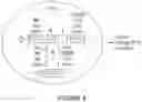 Fig. 06 - GENETICALLY-MODIFIED CELLS COMPRISING A MODIFIED TRANSFERRIN GENE