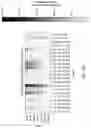 Fig. 102 - PROGRAMMABLE NUCLEASE IMPROVEMENTS AND COMPOSITIONS AND METHODS FOR NUCLEIC ACID AMPLIFICATION AND DETECTION
