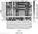Fig. 12 - PROGRAMMABLE NUCLEASE IMPROVEMENTS AND COMPOSITIONS AND METHODS FOR NUCLEIC ACID AMPLIFICATION AND DETECTION