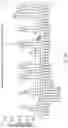 Fig. 28 - PROGRAMMABLE NUCLEASE IMPROVEMENTS AND COMPOSITIONS AND METHODS FOR NUCLEIC ACID AMPLIFICATION AND DETECTION