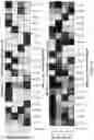 Fig. 46 - PROGRAMMABLE NUCLEASE IMPROVEMENTS AND COMPOSITIONS AND METHODS FOR NUCLEIC ACID AMPLIFICATION AND DETECTION