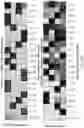 Fig. 47 - PROGRAMMABLE NUCLEASE IMPROVEMENTS AND COMPOSITIONS AND METHODS FOR NUCLEIC ACID AMPLIFICATION AND DETECTION