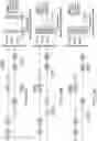 Fig. 50 - PROGRAMMABLE NUCLEASE IMPROVEMENTS AND COMPOSITIONS AND METHODS FOR NUCLEIC ACID AMPLIFICATION AND DETECTION