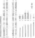 Fig. 62 - PROGRAMMABLE NUCLEASE IMPROVEMENTS AND COMPOSITIONS AND METHODS FOR NUCLEIC ACID AMPLIFICATION AND DETECTION
